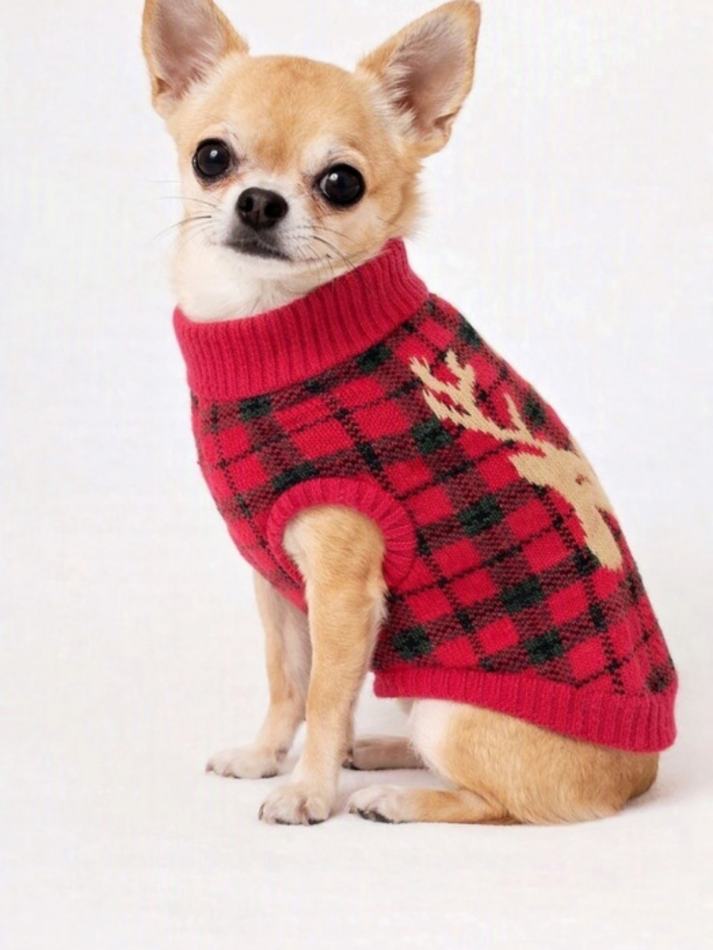 Dog Plaid Reindeer Sweater in Red & Black
